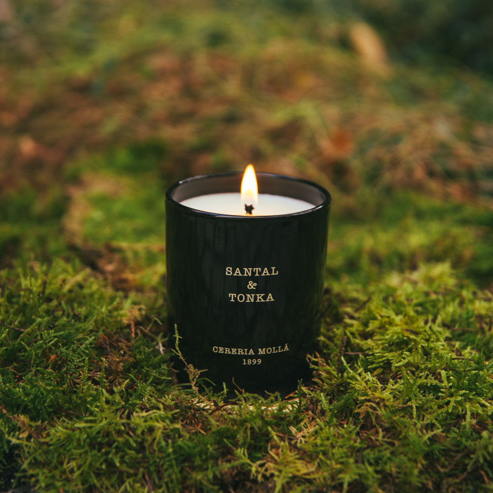 Santal & Tonka 230g Premium Candle - Cereria Molla 1899