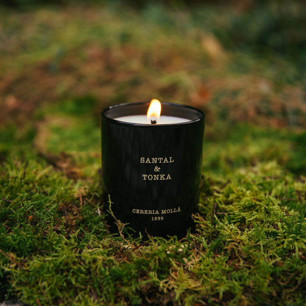 Santal & Tonka 230g Premium Candle - Cereria Molla 1899