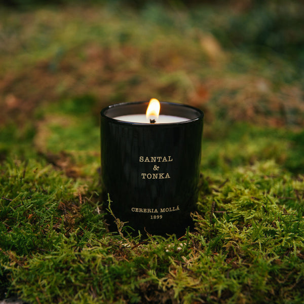 Santal & Tonka 230g Premium Candle - Cereria Molla 1899