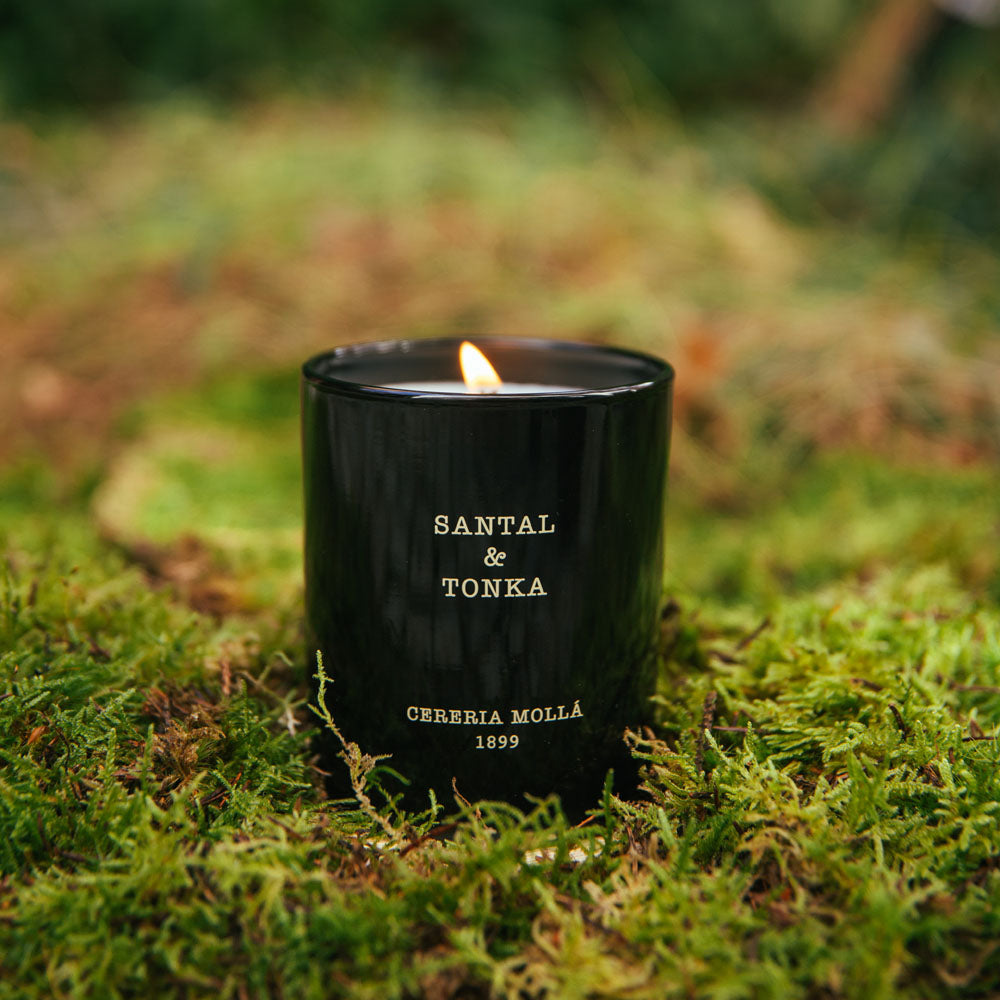 Santal & Tonka 230g Premium Candle - Cereria Molla 1899
