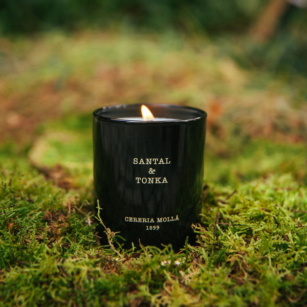 Santal & Tonka 230g Premium Candle - Cereria Molla 1899