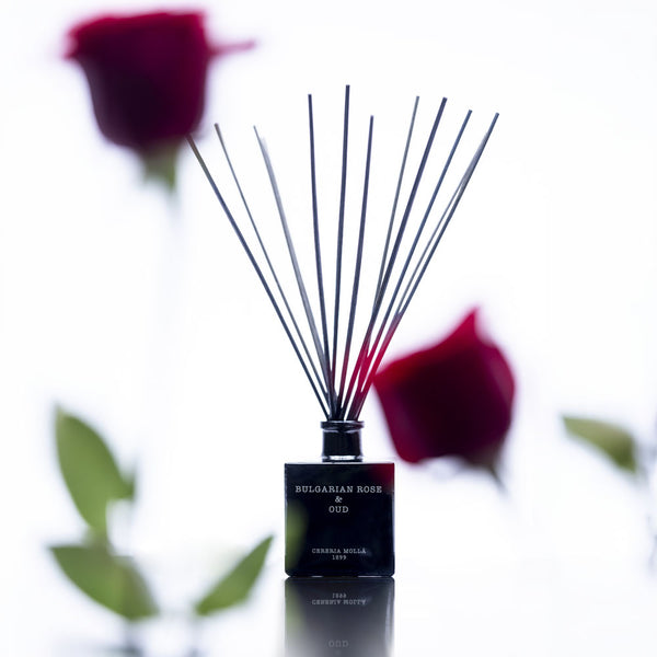 Bulgarian Rose & Oud 100ml Reed Diffuser - Cereria Molla 1899