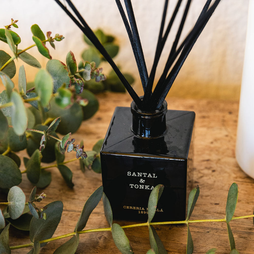 Santal & Tonka 100ml Reed Diffuser - Cereria Molla 1899
