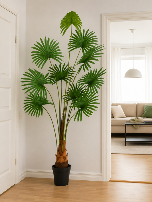 Fan Palm 180cm