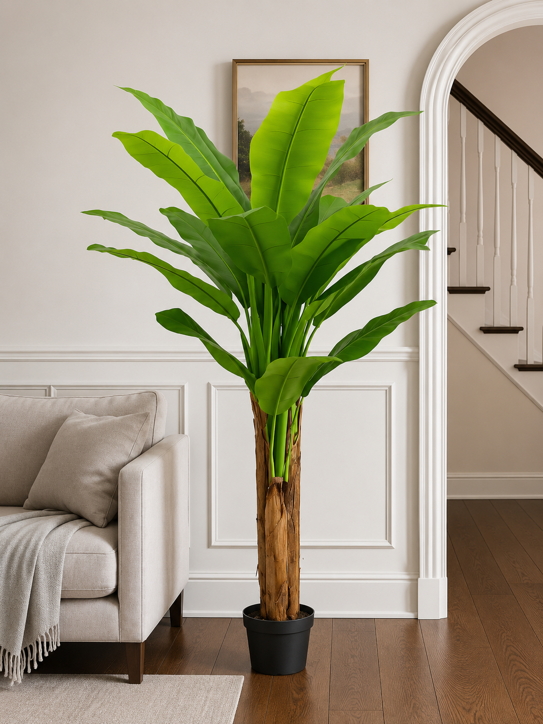Banana Tree 180cm