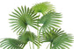 Fan Palm 180cm