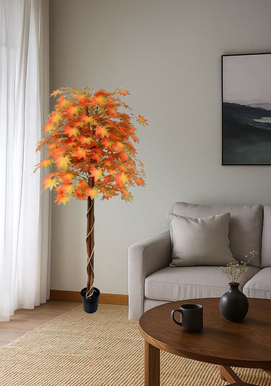 Maple Tree 180cm