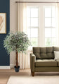 Olive Tree 120cm