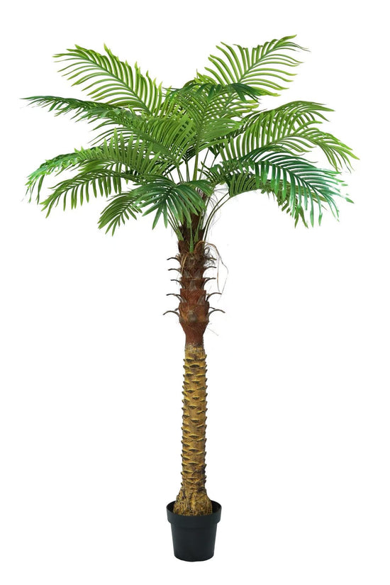 Palm Tree 180cm