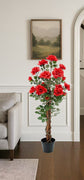 Rose Tree 120cm