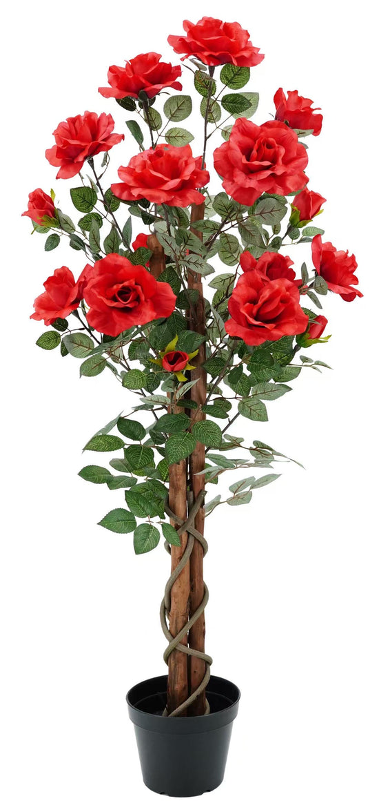 Rose Tree 120cm