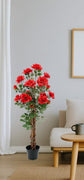 Rose Tree 120cm
