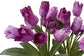 Tulip Flowers 50cm