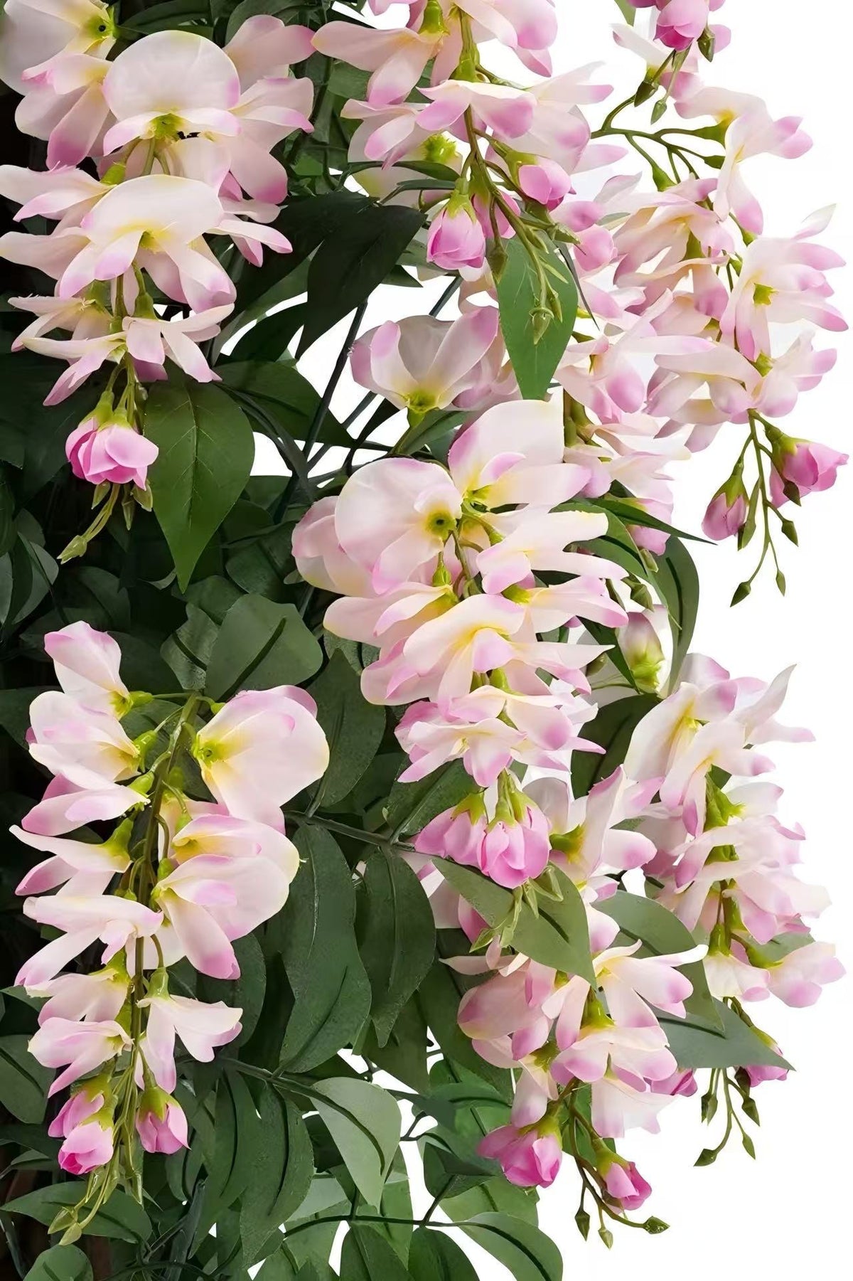 Wisteria Pink 150cm