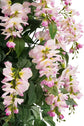 Wisteria Pink 150cm
