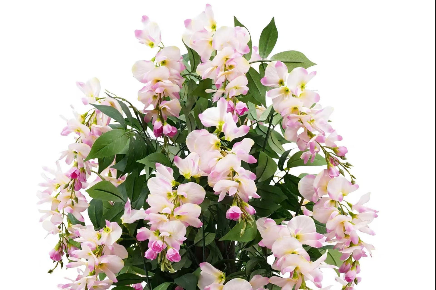 Wisteria Pink 150cm