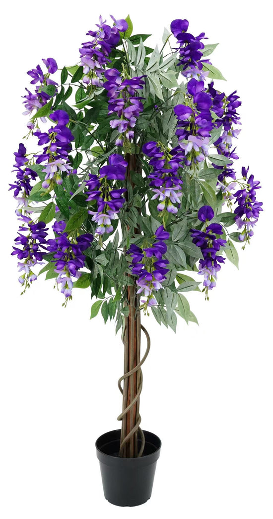 Wisteria Purple 120cm