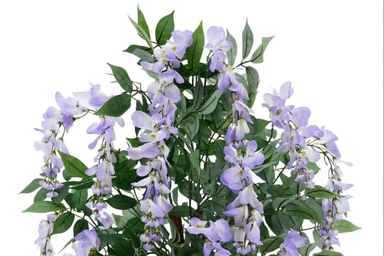 Wisteria Purple 90cm