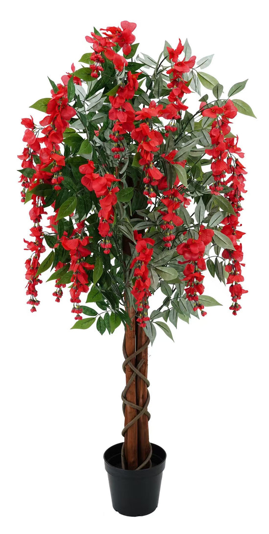 Wisteria Red 120cm
