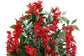 Wisteria Red 120cm