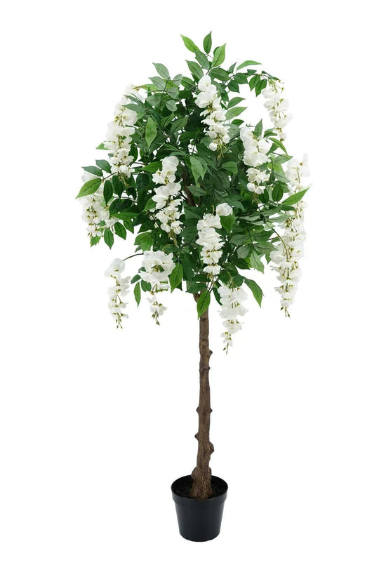 Wisteria White 140cm