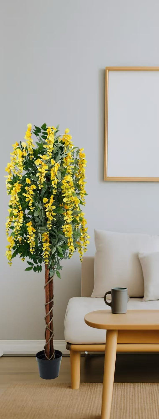 Wisteria Yellow 180cm