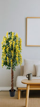 Wisteria Yellow 180cm