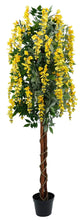 Wisteria Yellow 180cm