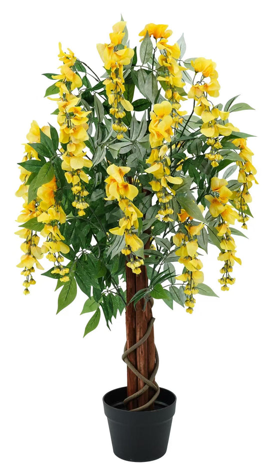 Wisteria Yellow 90cm