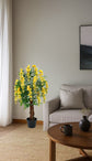 Wisteria Yellow 90cm