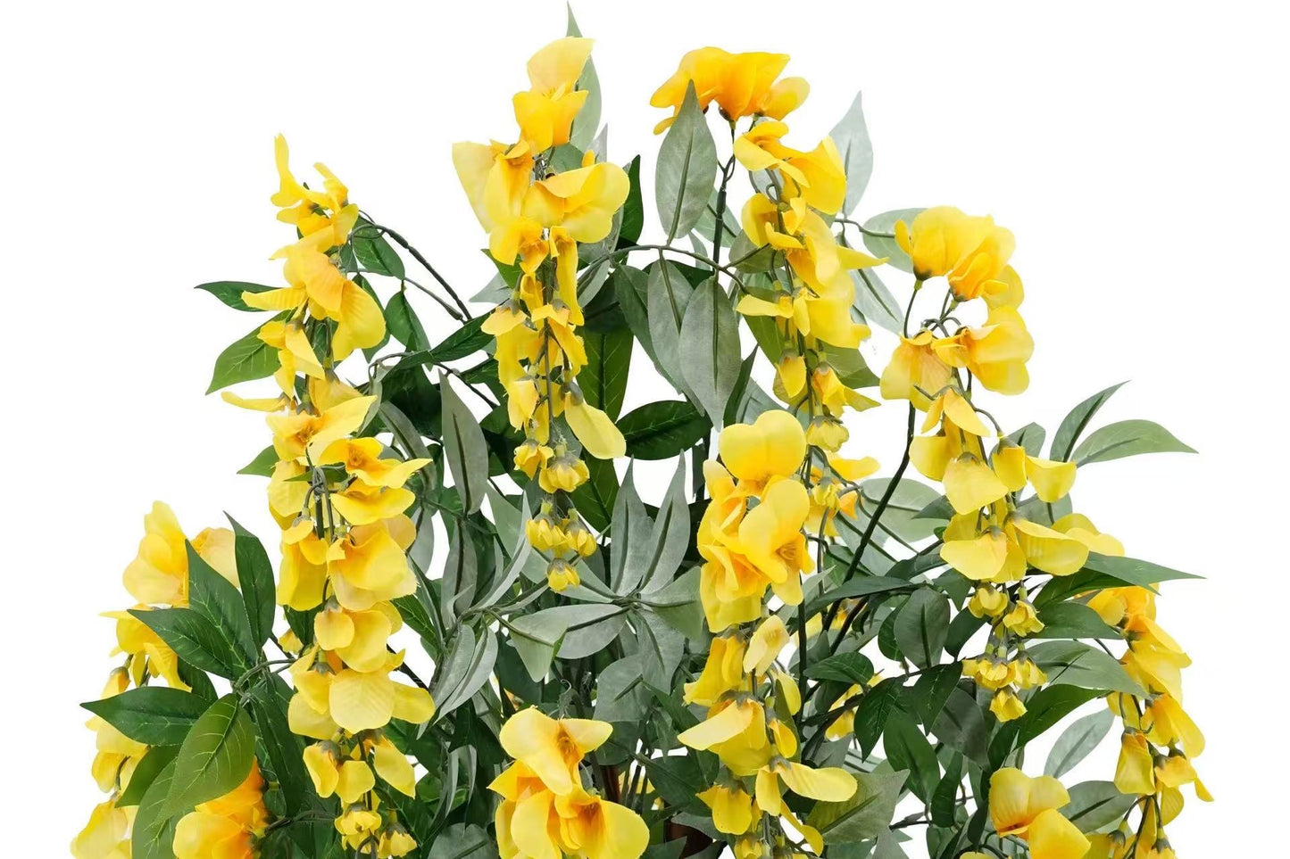 Wisteria Yellow 90cm