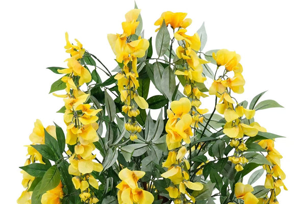 Wisteria Yellow 90cm