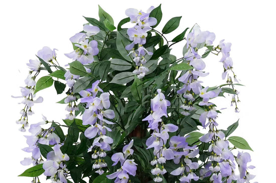 Wisteria Purple 150cm