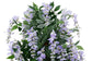 Wisteria Purple 150cm