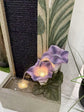 Fuengirola Fountain Tulips Water Curtain Beige with Sublime Colours