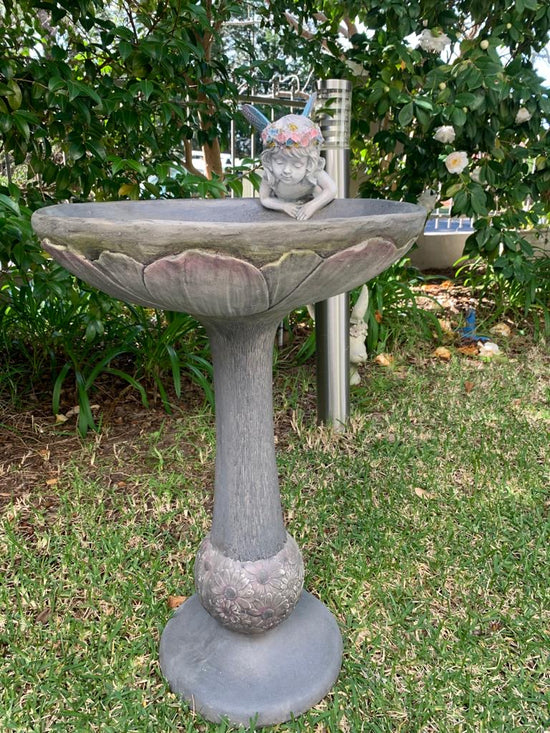HADA Bird Bath Fairy with Butterfly