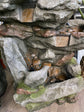 Yoshimite Falls Cascading Rock Fountain