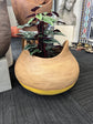 Nomad Basket Planter Outdoor Stone Designer Series Sept 2022