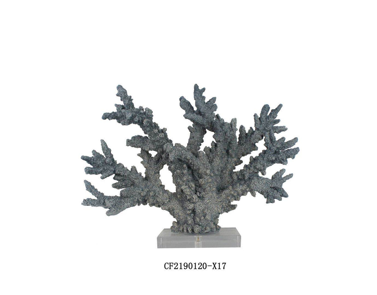 Arrecife Blue Ocean Coral