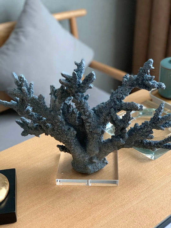 Arrecife Blue Ocean Coral
