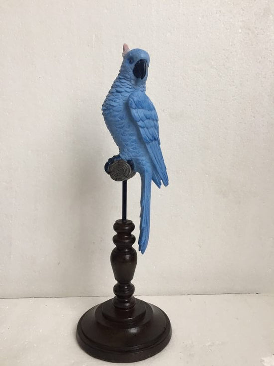 Exotic Light Blue Bird Parrot on Perch