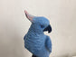 Exotic Light Blue Bird Parrot on Perch