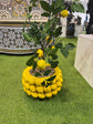 Lemon Tree complete in Vivid Yellow Colour Ceramic Finish