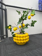 Lemon Tree complete in Vivid Yellow Colour Ceramic Finish