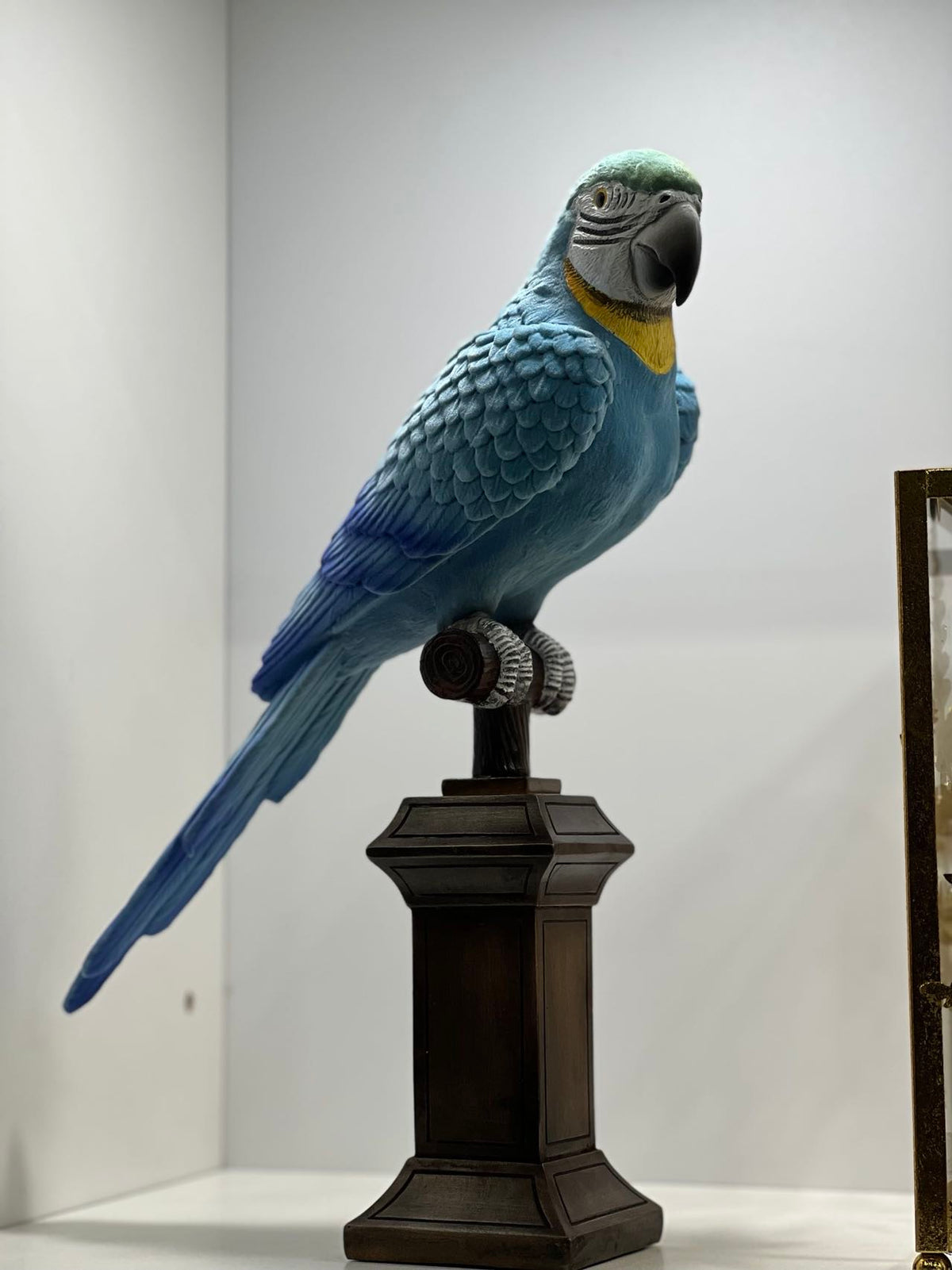 Blue & Gold Macaws Real Look & Feel Set 2