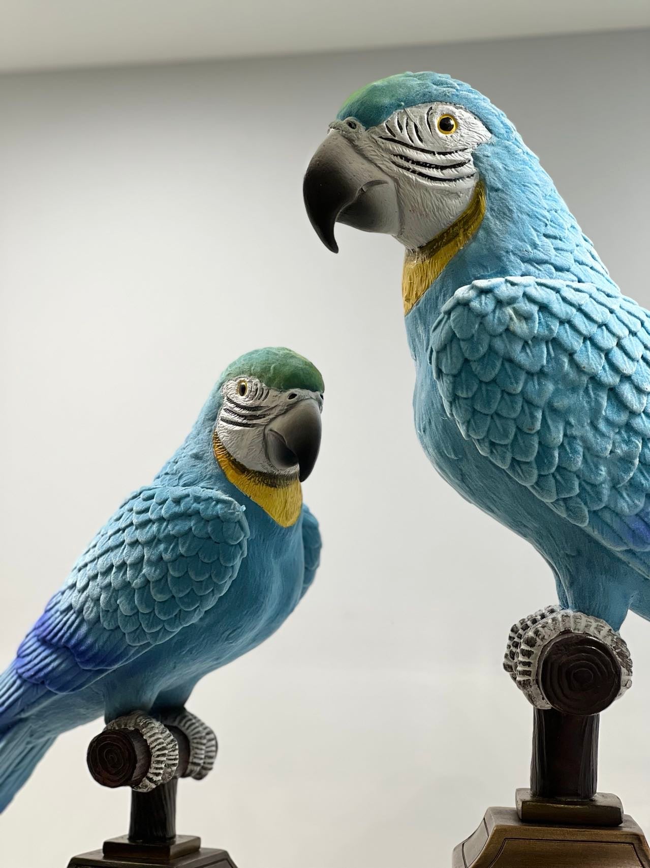Blue & Gold Macaws Real Look & Feel Set 2
