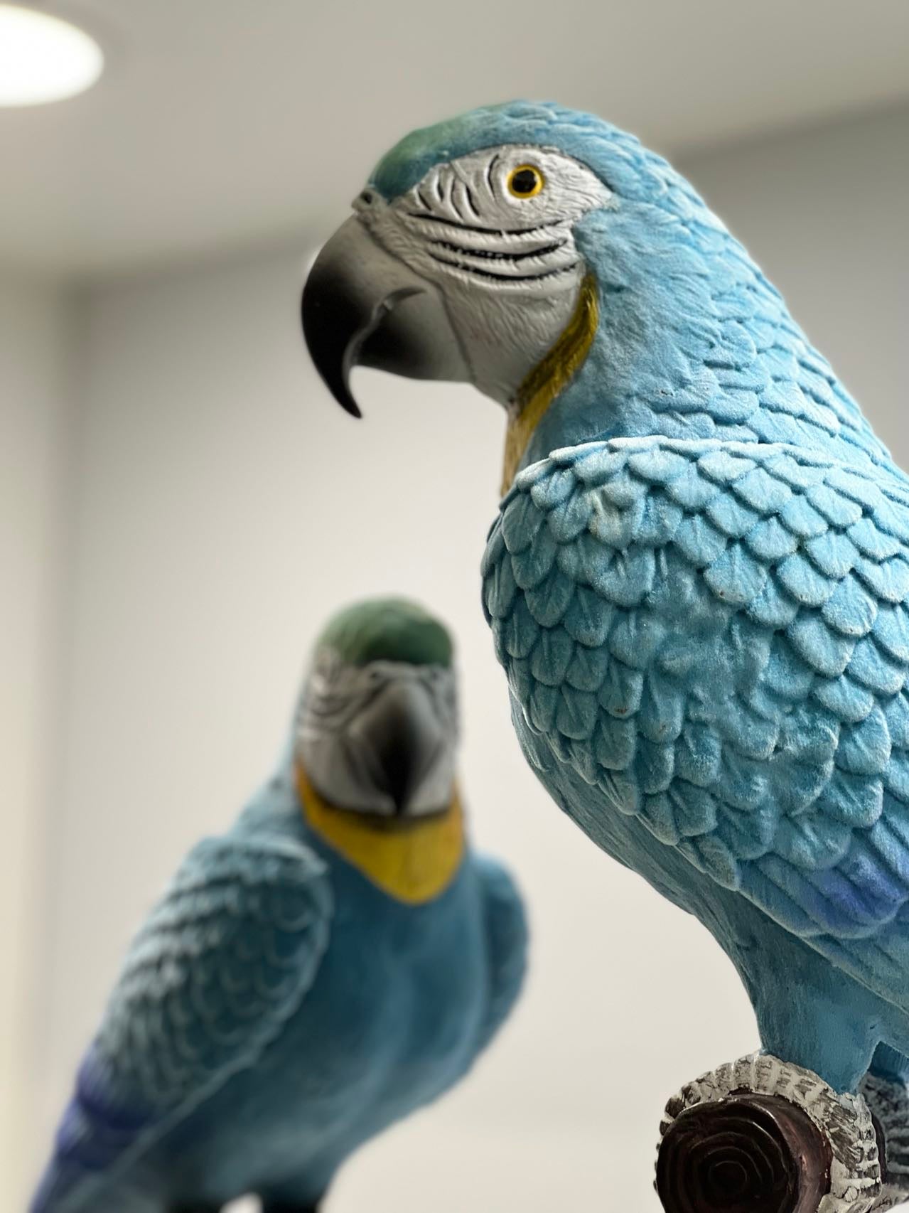 Blue & Gold Macaws Real Look & Feel Set 2