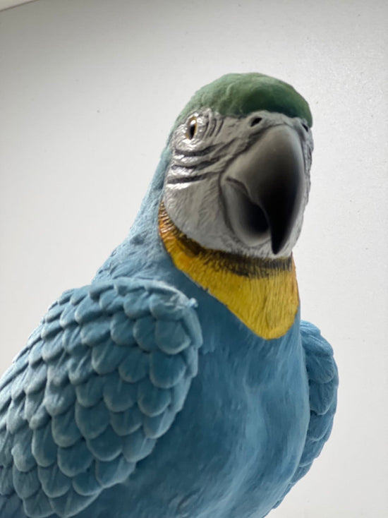 Blue & Gold Macaws Real Look & Feel Set 2