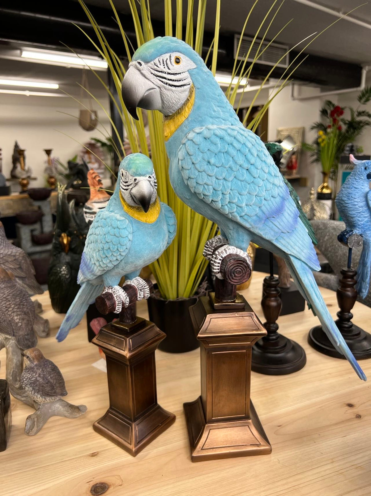 Blue & Gold Macaws Real Look & Feel Set 2