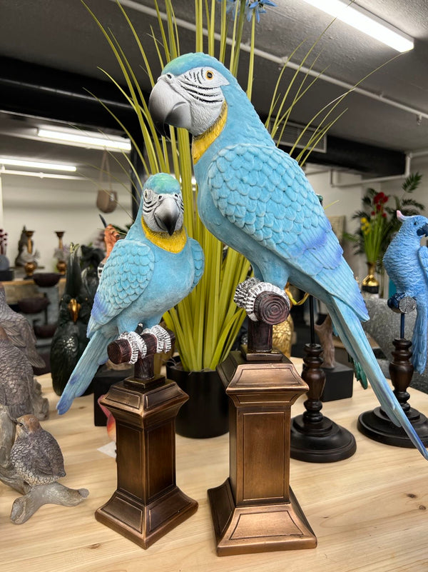 Blue & Gold Macaws Real Look & Feel Set 2